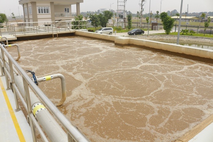 bùn vi sinh hiếu khí là gì?