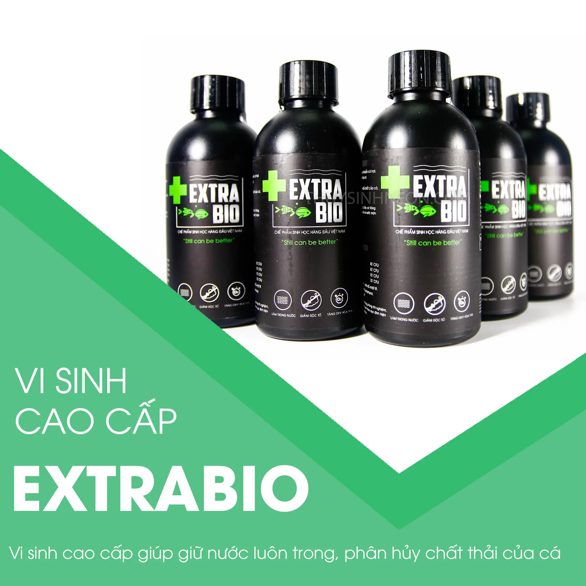 Vi sinh bể cá Extra Bio 