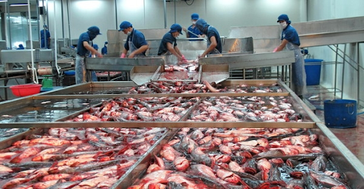 Tìm hiểu về đặc trưng nước thải thủy hải sản